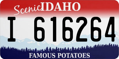 ID license plate I616264