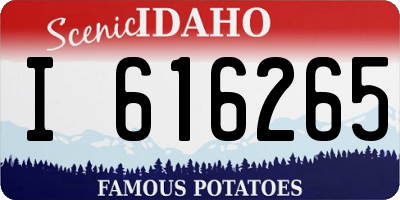 ID license plate I616265