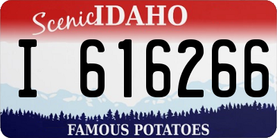 ID license plate I616266