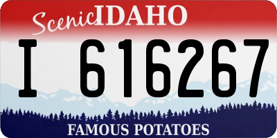 ID license plate I616267