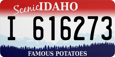 ID license plate I616273