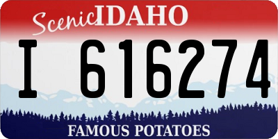 ID license plate I616274