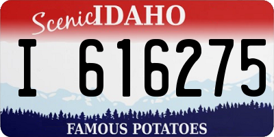 ID license plate I616275