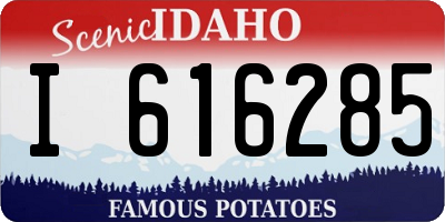 ID license plate I616285