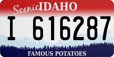 ID license plate I616287