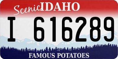 ID license plate I616289