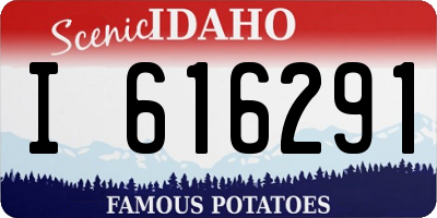 ID license plate I616291