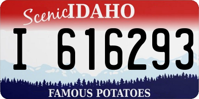 ID license plate I616293