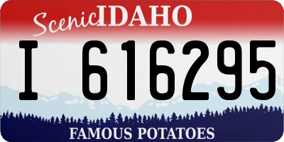 ID license plate I616295