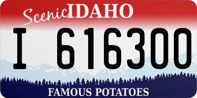 ID license plate I616300