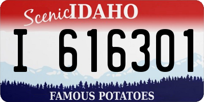 ID license plate I616301