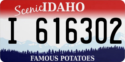 ID license plate I616302