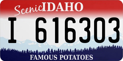 ID license plate I616303