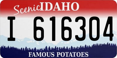 ID license plate I616304