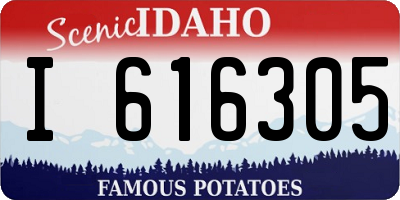 ID license plate I616305