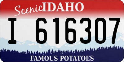 ID license plate I616307