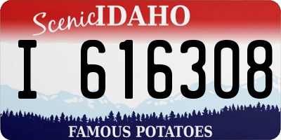 ID license plate I616308