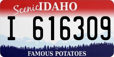 ID license plate I616309