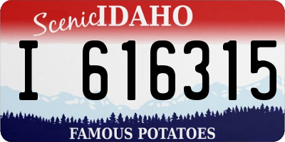 ID license plate I616315