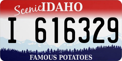 ID license plate I616329