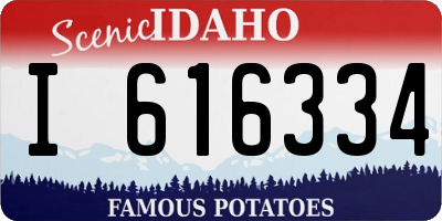 ID license plate I616334