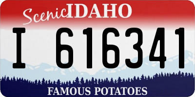 ID license plate I616341