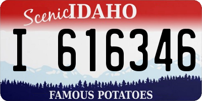 ID license plate I616346