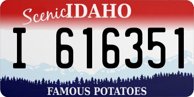 ID license plate I616351