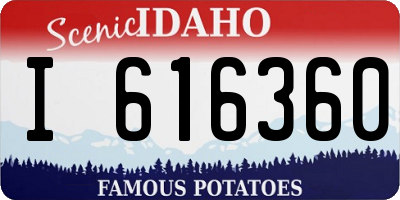 ID license plate I616360