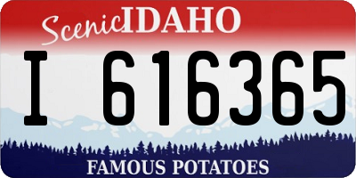 ID license plate I616365