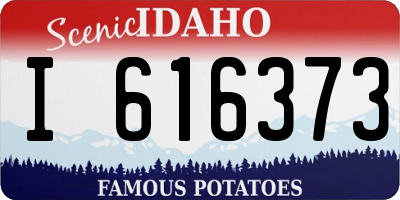 ID license plate I616373