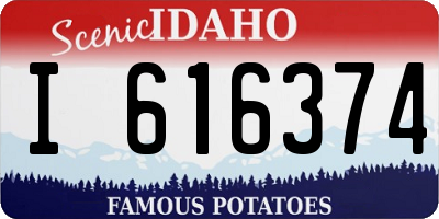 ID license plate I616374
