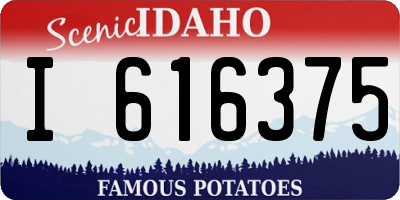 ID license plate I616375