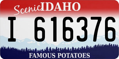 ID license plate I616376