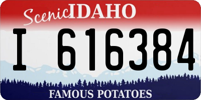 ID license plate I616384