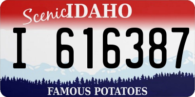 ID license plate I616387