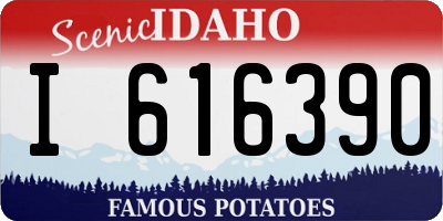 ID license plate I616390