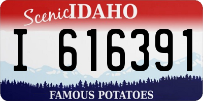 ID license plate I616391