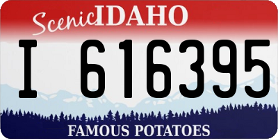 ID license plate I616395