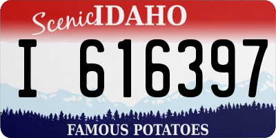ID license plate I616397