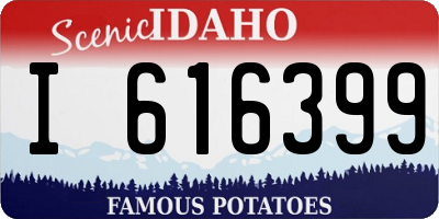 ID license plate I616399