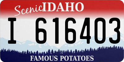 ID license plate I616403