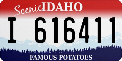 ID license plate I616411