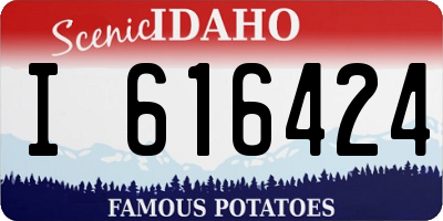 ID license plate I616424