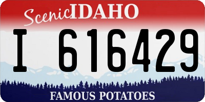 ID license plate I616429