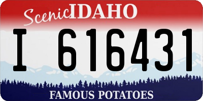 ID license plate I616431