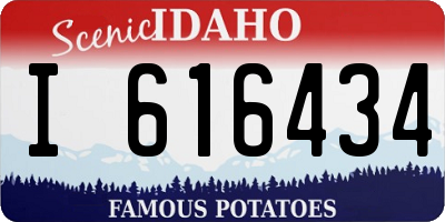 ID license plate I616434