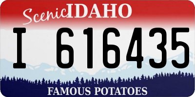 ID license plate I616435