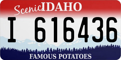 ID license plate I616436