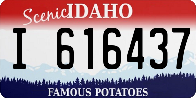 ID license plate I616437